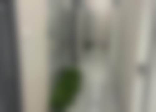 武汉乐博口腔门诊部特色技术