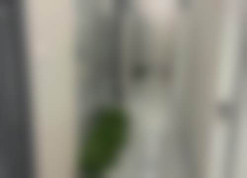 武汉乐博口腔门诊部口碑如何