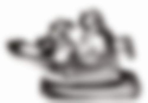 平原贞实口腔就诊预约挂号指南