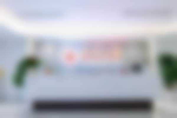 四. 【紧急说明】因关键参数不足需暂停创作！！！⚠️⚠️⚠️