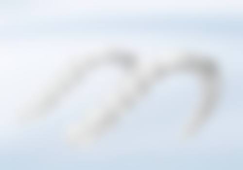 重庆荣昌区迪迪口腔诊所口碑好不好？患者诊室评价