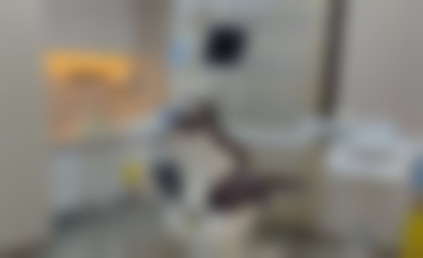 十一、徐州邳州牙卫士口腔医院怎么预约挂号？