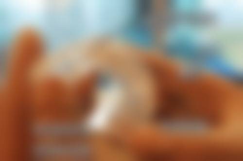 唇腭裂牙齿矫正的价格和成效如何？