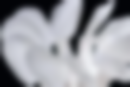 六、常州新北三井徐慢莉口腔诊所技术优势