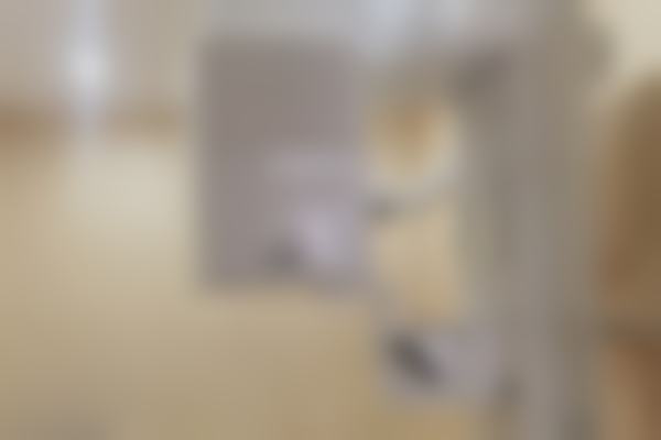 询问与方案制定