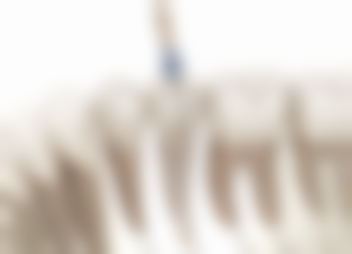 北京望京医院口腔科收费价格如何？