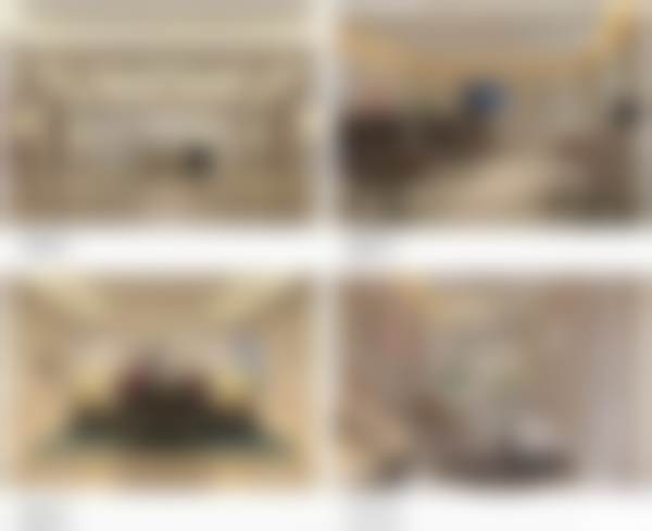 二、卫晶擅长项目及优势