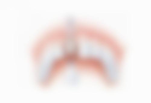 理性提醒:植牙係長期投資,安心永遠排第一