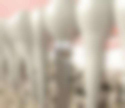 香港 allon4植牙費用香港 vs 深圳口岸價錢：平一半係咪真？