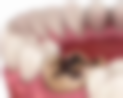 香港 大睦看牙醫費用：診所揀選3大關鍵點