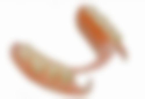 术前术后避坑指南：北上睇牙要注意啲咩？