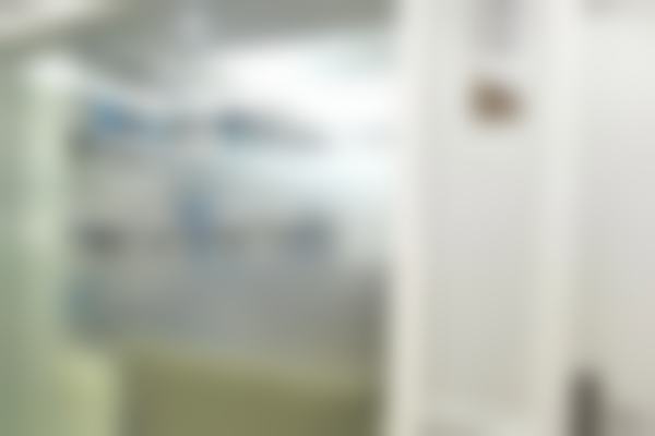 陈宾楷医生执医资历及荣誉