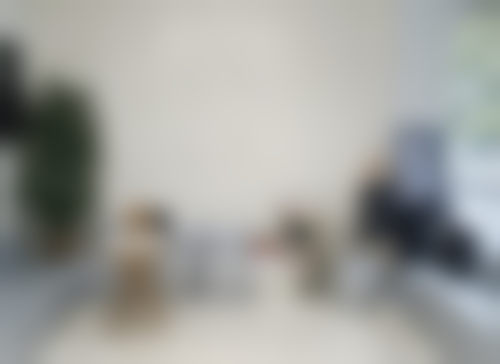 三、孙媛媛医生职称荣誉