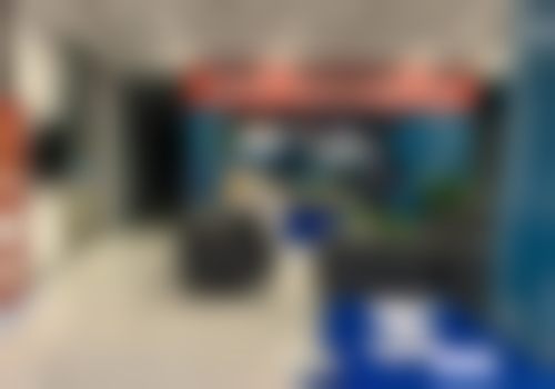 牙冠项目价格合理吗？