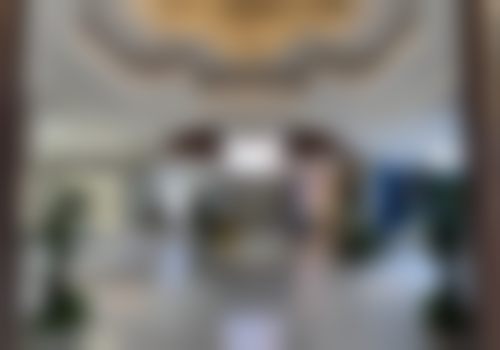 1、主要做的三大诊疗项目