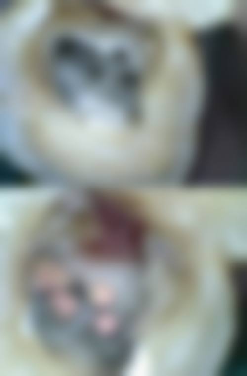 扬州高邮孟城口腔医生团队经验稳定。