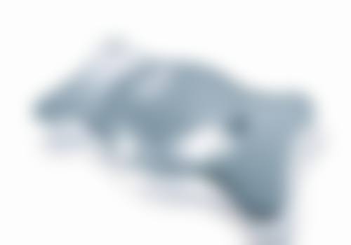 四、姚润莲医生是正规医生吗？
