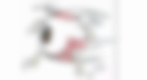 （1）近视矫正医生