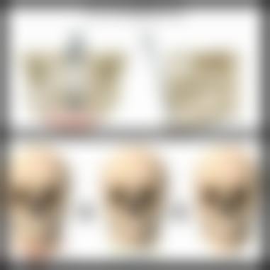 项目价格及预约方式