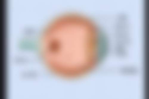 上海第十人民医院眼科（同济大学附属第十人民医院眼科）预约挂号方式。