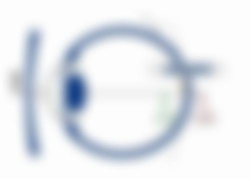 六、普宁市人民医院眼科医生名单