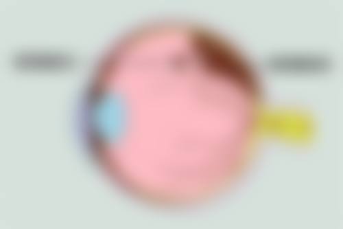 黄光初医生擅长项目
