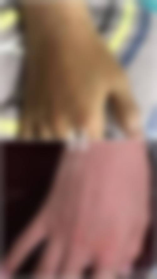 六、口碑如何