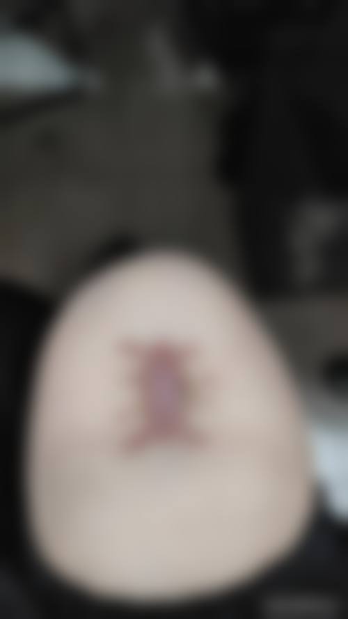 2、医院性质 / 资质备案