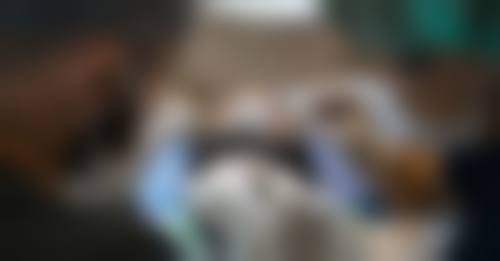 四、哈尔滨张建华医生执医荣誉