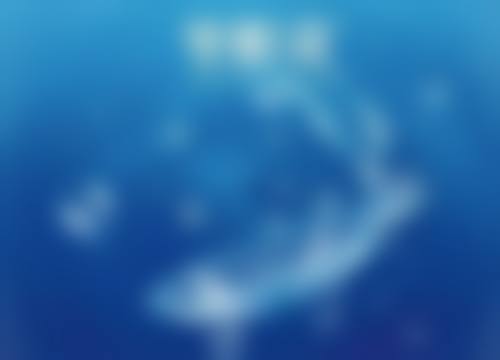 4、基础信息