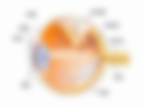 柳州市妇幼保健院眼科地址电话及来院路线