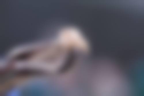 孔羽医生坐诊的医院