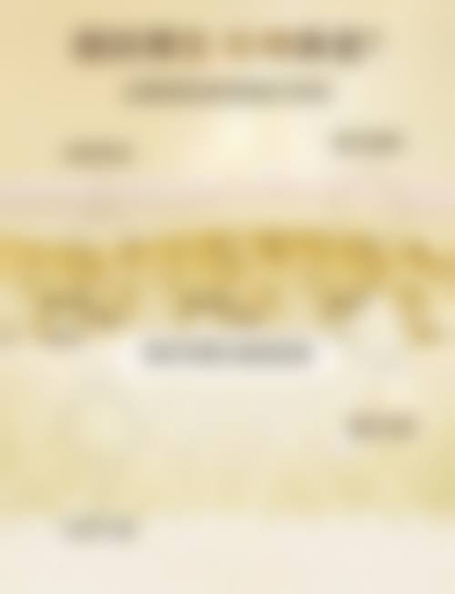 特色项目与技术优势:专注细节与成效