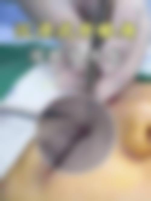 五、李侠医生坐诊哪个医院?