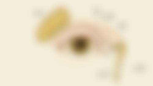 泉州市第一医院眼科预约挂号方式。