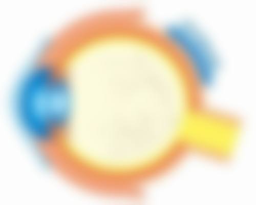 视网膜色素变性能治吗？最新治疗方法揭秘，北京同仁等医院价格与案例全知晓！ 