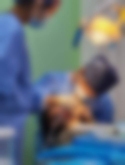 烟台拜尼科口腔门诊擅长项目。