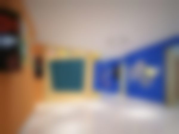 五、卢弈文医生介绍及技术优势