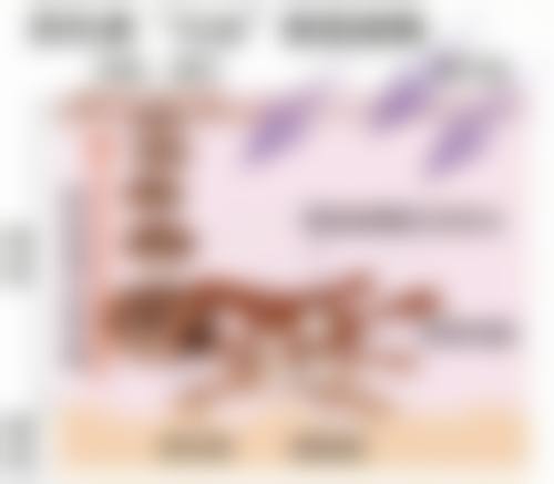 设备与环境介绍:精良科技保护成效
