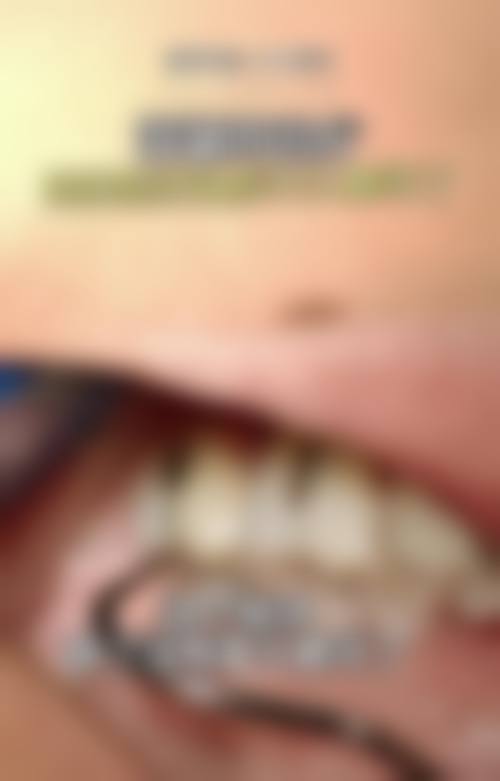 擅长项目详解