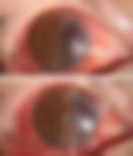 苏州理想眼科医院整形美容科门诊营业时间。