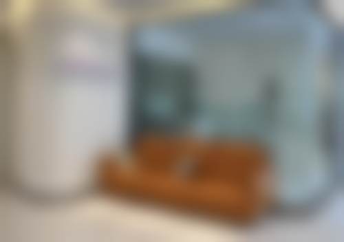 武汉博华口腔光谷大道门诊部正规资质及靠谱实力