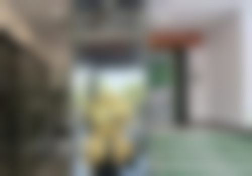 数字化种植牙优惠活动：原价XXX元-补贴价XXX元