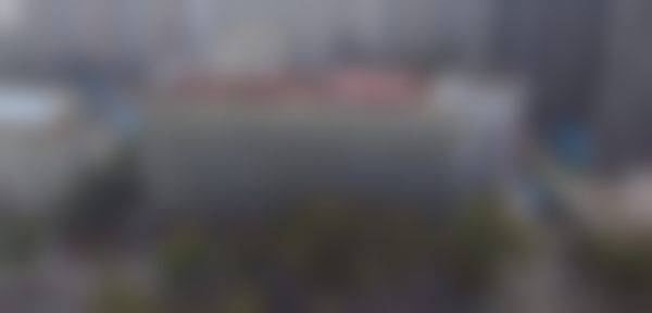 七、庞辰久2026年全新价格表