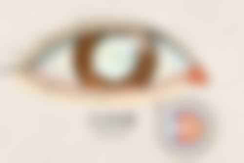 洛阳市中 心医院眼科项目价格