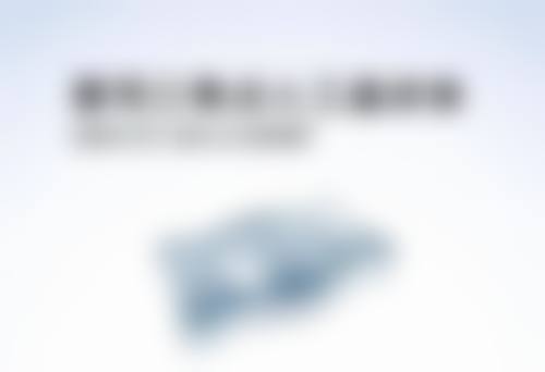 擅长项目详解