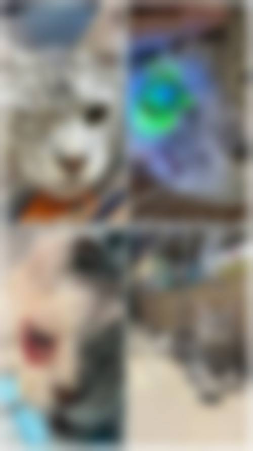精良设备与环境