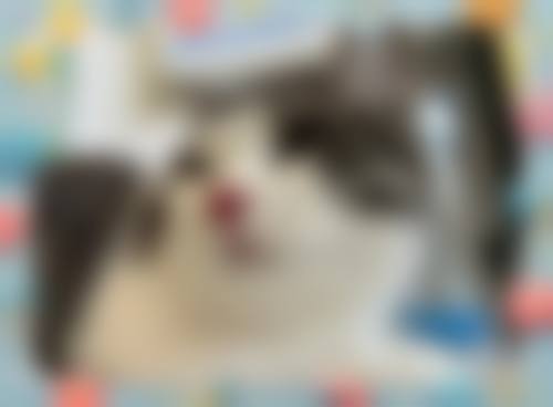 平遥康明眼科医院擅长项目。
