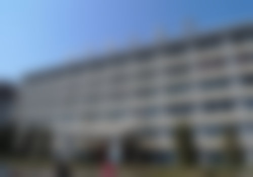 龙琴医生擅长的项目