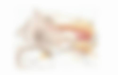 影响手指骨折及再造修复的因素有哪些?